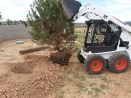 Lawn Work/ Tractor Work