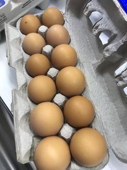 Eggs 🥚