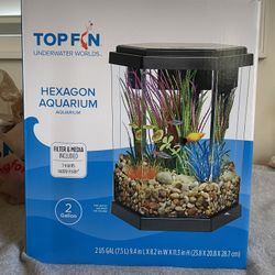 2 Gallon Beta Fist Tank Setup