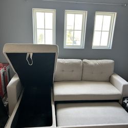 Couch/ Sleeper Sofa 