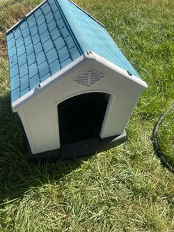 Dog House