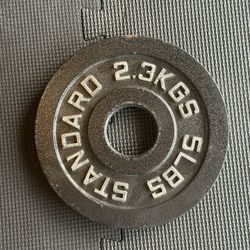 Rogue Olympic Plates 5LB