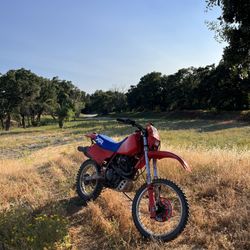 1983 Honda Xr500r