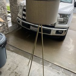 Brand New Lamp