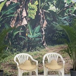 Bad Bunny DTMF photo Backdrop 