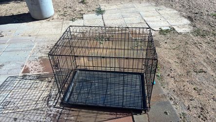 Black Wire Dog Crate with Tray