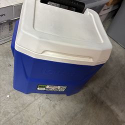Igloo Cooler - 16qt