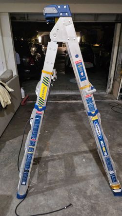 werner multi max pro 375 lbs