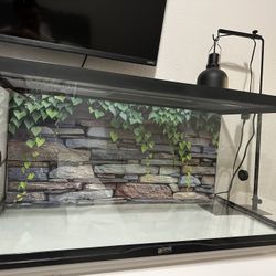 40 Gallon Tank