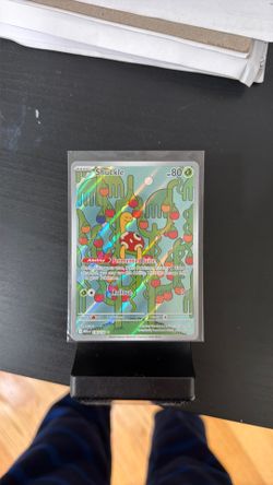 Shuckle 136/132