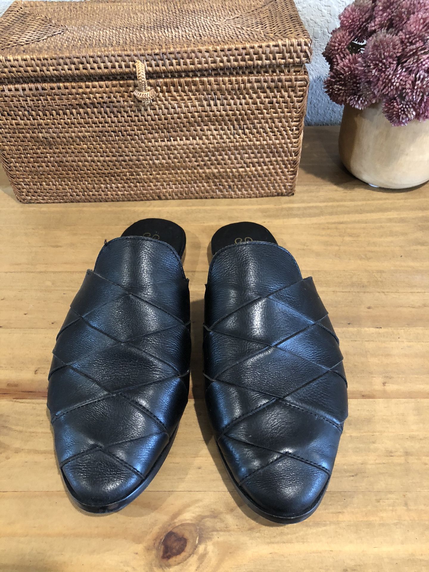 Seychelles survival mules