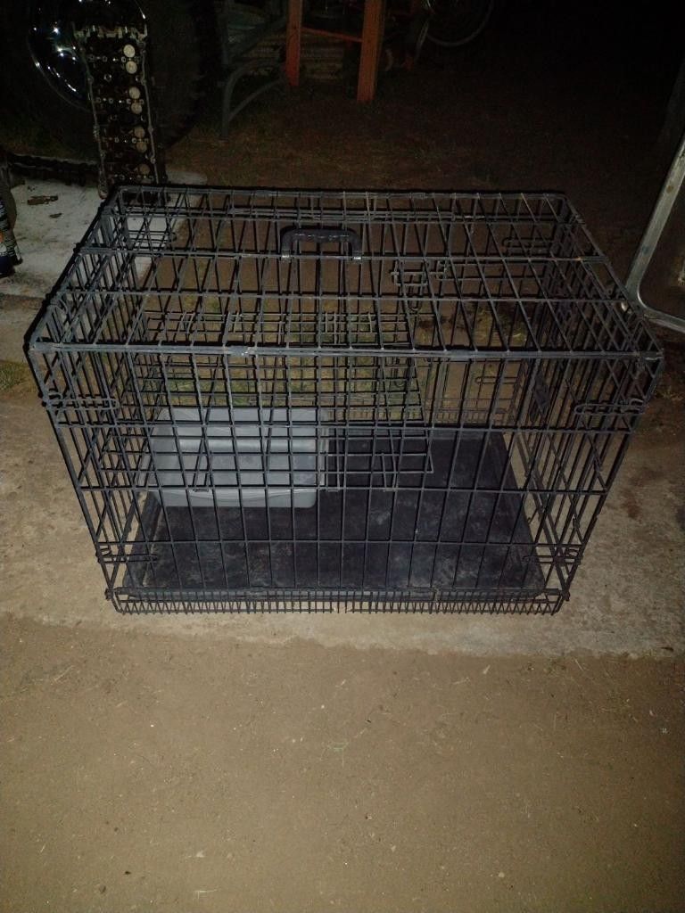 CAGES