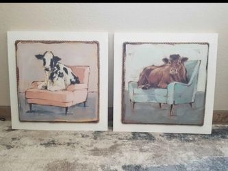 Cow Pictures