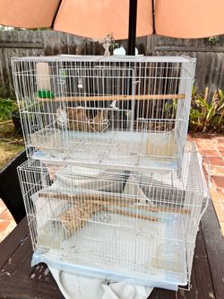Bird cage