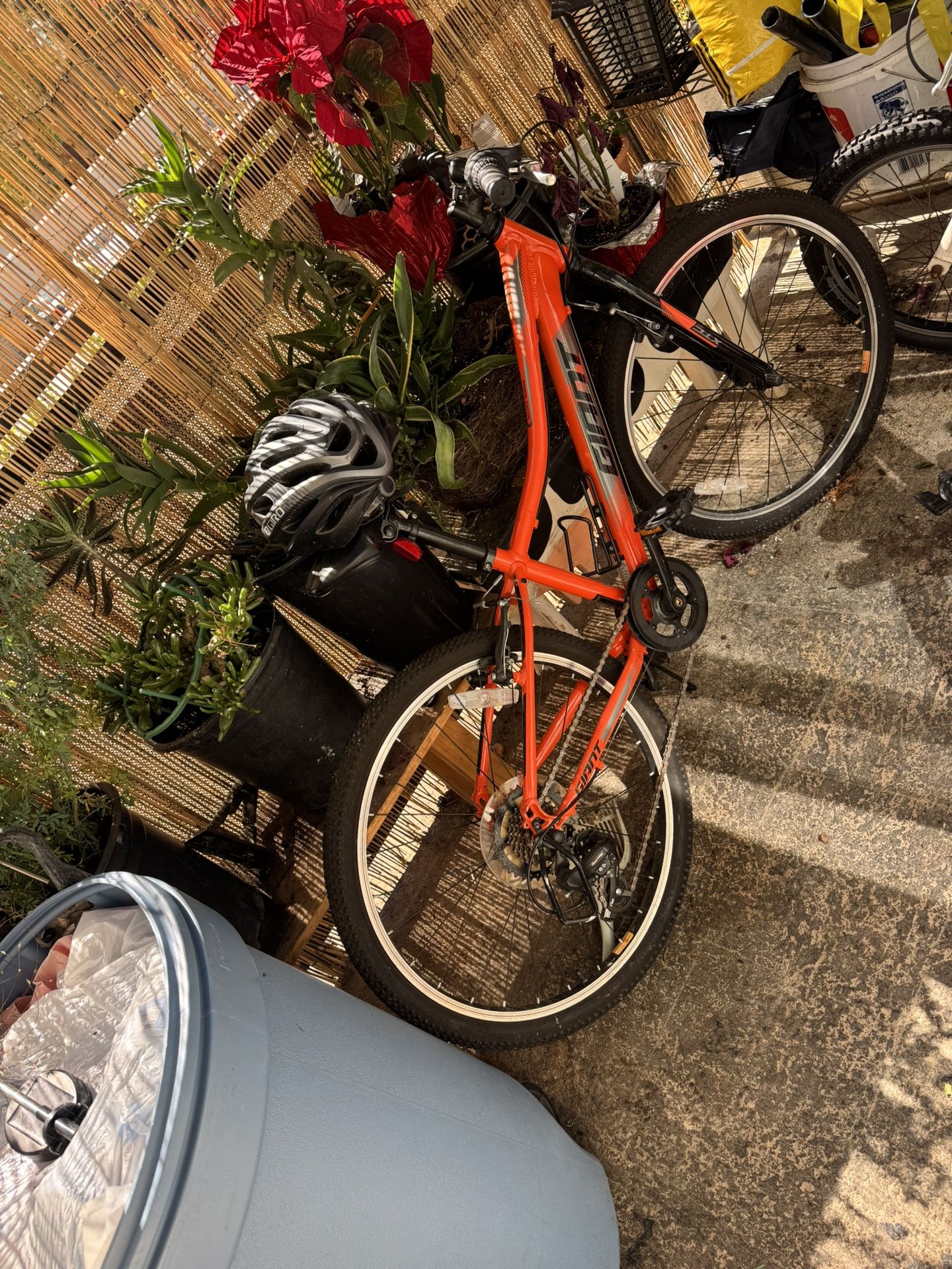 Giant Bike