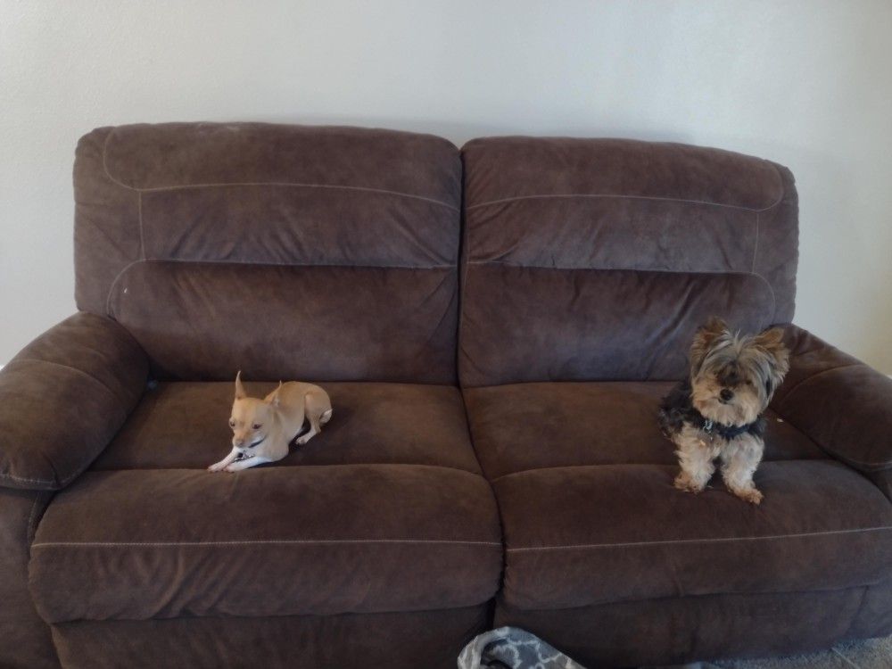 Brown Recliner 