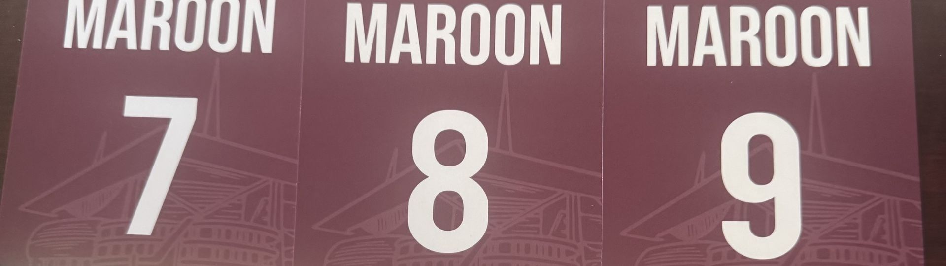 Dolphins maroon parking pass game eight