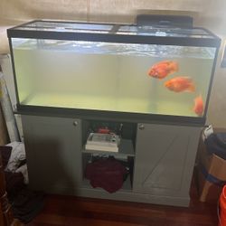 Fish Tank