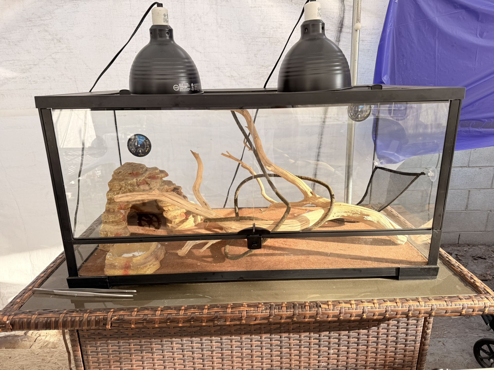 Beardroagon Tank