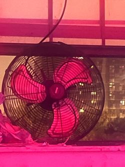 Black Box Fan with Metal Grill
