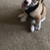 Mason 