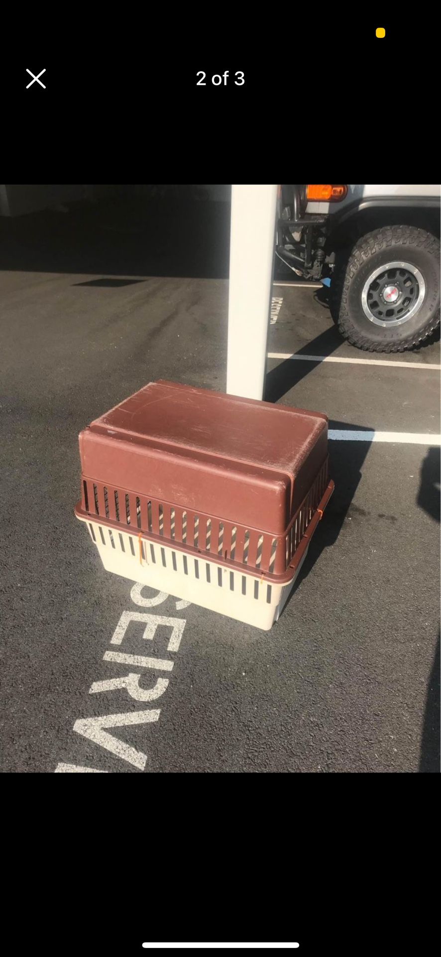 large dog case