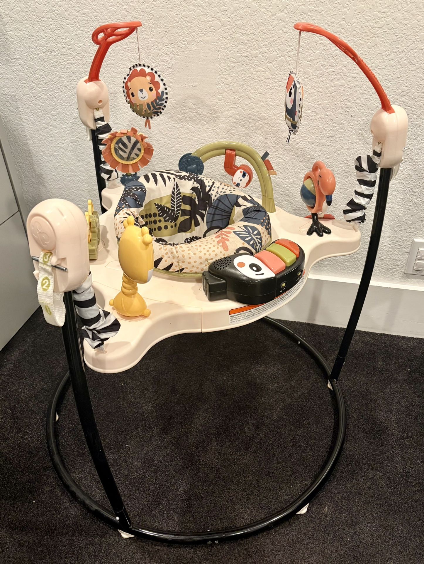 Fisher Price Jungle Activity Center & Bouncer