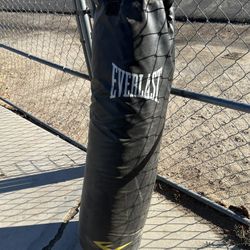 Ever last Heavy Bag