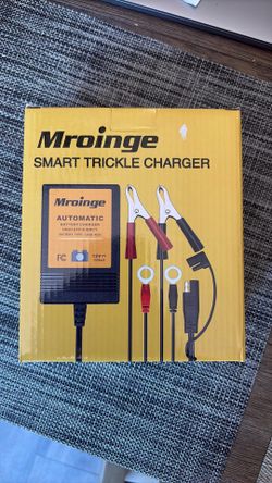 Smart Battery Trickle Charger 12v