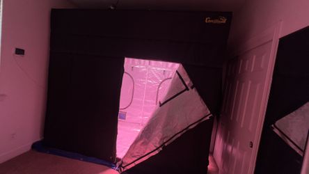 Indoor Gardening Setup