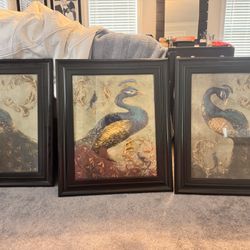 3  Picture Frames With Pictures 