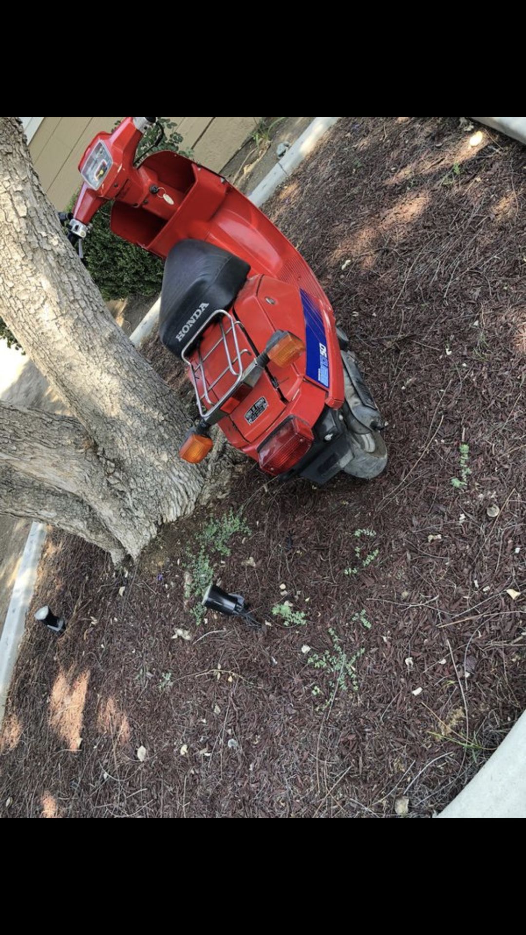 Honda aero 50 scooter