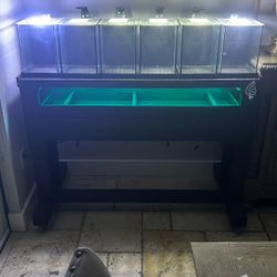 6 Aquarium Display w/ Wood Stand Like New