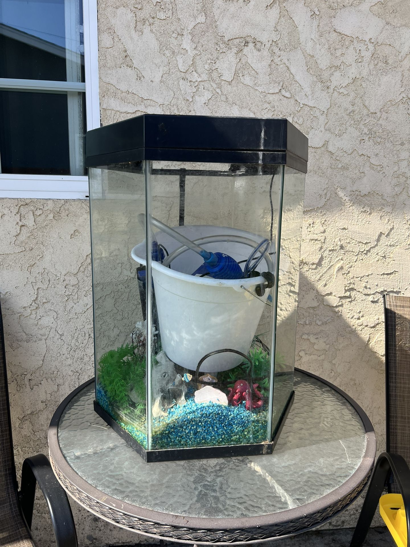 40 Gal Hexagon Fish Tank 