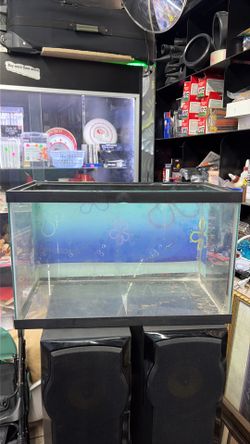 SpongeBob themed fish tank