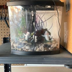 Fish Tank