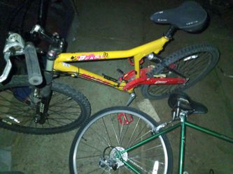 Proflex bike