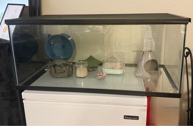 Aquarium tank