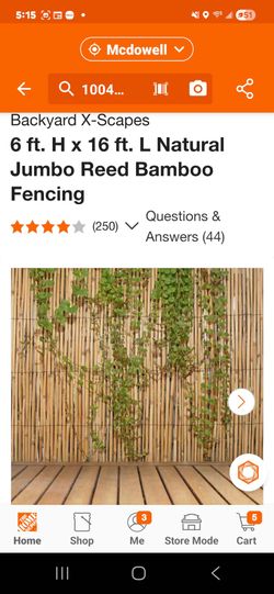 BAMBOO FENSING 6fit.  16fit long new