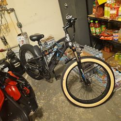 Rurui Aurochs XT10  750watt Electric Bicycle 30mph Throttle 50 Mile Pedal Range