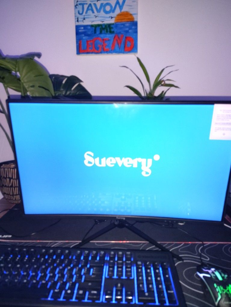 24 Inch Curved Gaming Monitor 300HZ