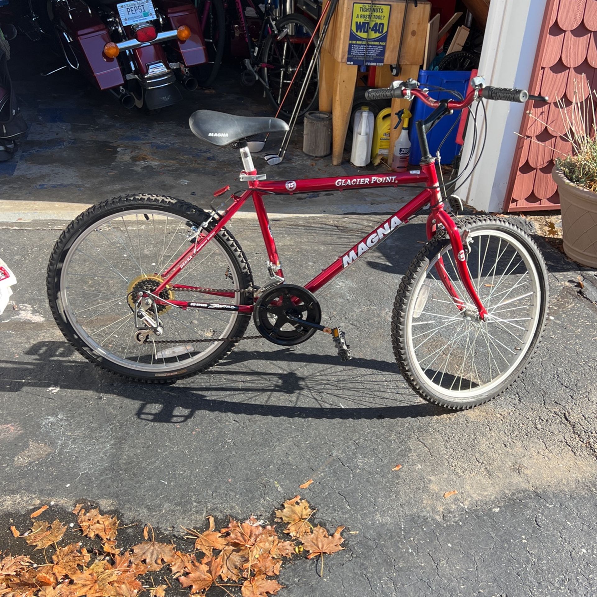 Magna Glacier Point Bike
