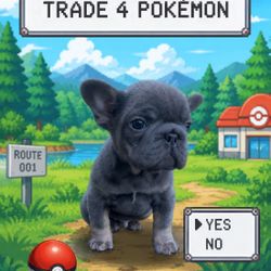 Pokemon Trade