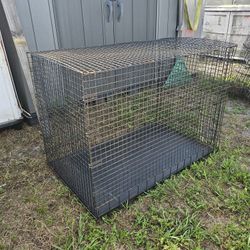 Big cage 