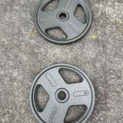 x2 45lbs plates
