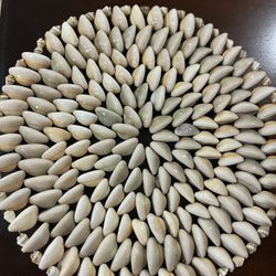 Handmade Shell Trivet / Decorative Table M