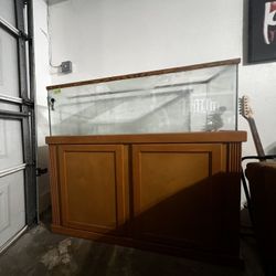 Aquarium and Stand