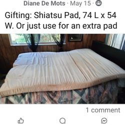 Shiatsu Pad