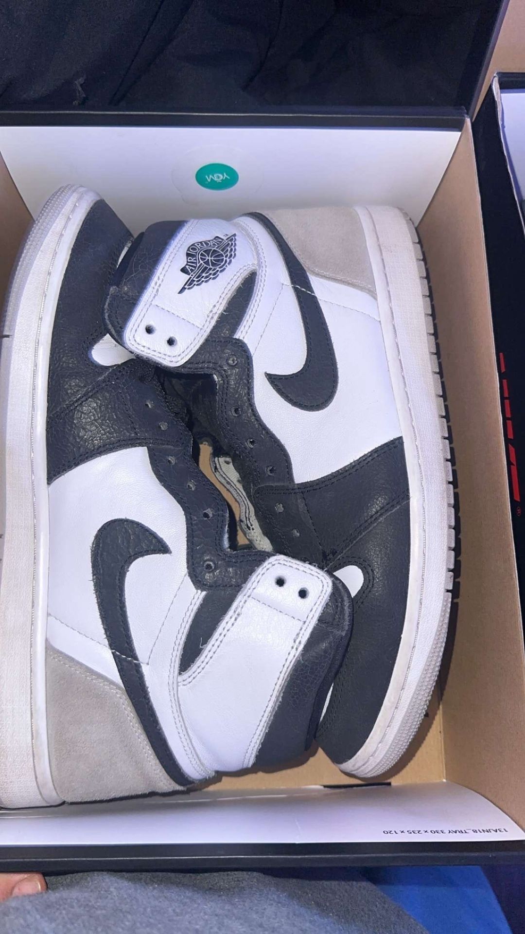 Jordan 1 High n Low 11.5