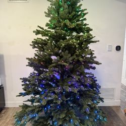 BalsamHill 7.5ft Christmas Tree W/ Twinkling Lights
